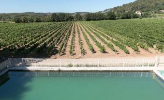 Chateau Nestuby