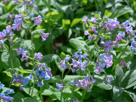 Pension Castile Отели рядом с достопримечательностью «旧軽井沢森ノ美術館»