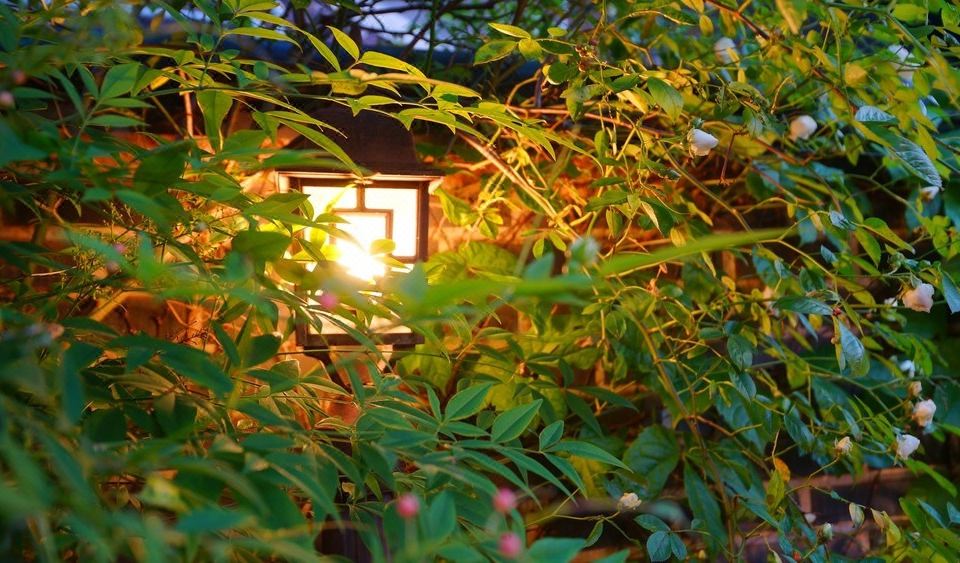 3. 전주 한옥 온유..