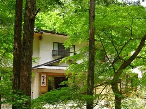 [湯之洞溫泉]石之湯 湯本館 美濃市住宿飯店