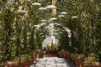 Mama Shelter Roma Hotels in 