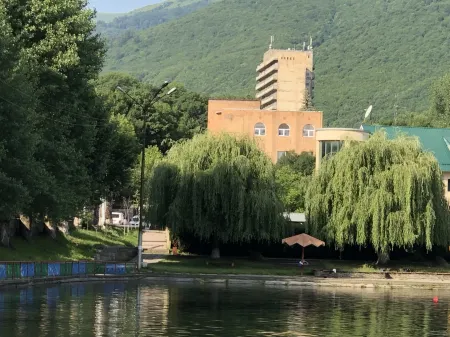 Vanadzor Armeniya Health Resort Отели в г. Ванадзор