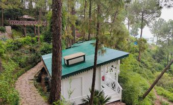 Kasauli Hills Resort