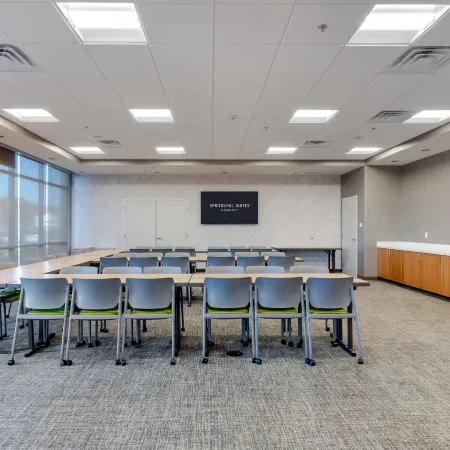 SpringHill Suites Chattanooga South/Ringgold, GA