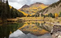 Silvery Lupine Cabin 5 - 2 bedrooms in Creede, Colorado