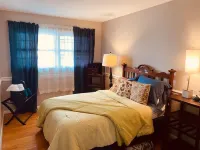 Indigo Blue modern open vibe on tree lined street