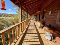 Tree House Treasure ~ Rare Find ~