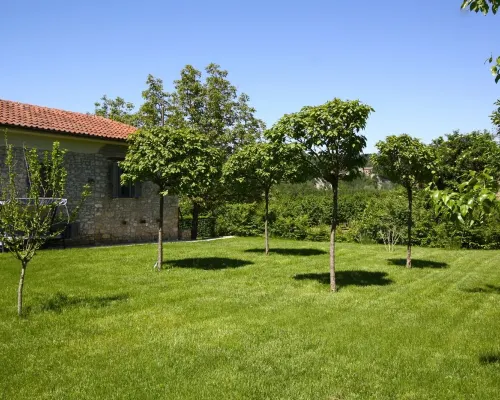 Italian villa, private pool - cycling, hiking, wine tours, slow-food, fast WiFi Hotel a Bubbio