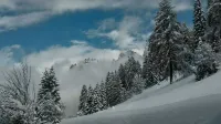 HOLIDAY IN MASO VIEW DOLOMITES