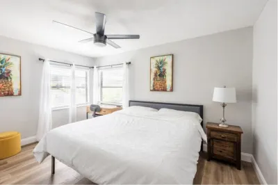 Pineapple Express @ Orlando 손턴 파크 주변 호텔