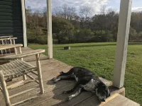 Charming Farmhouse-60 Acres w/ Trails Firepits Creek Close to Dolly and Canaan