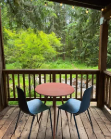 The Hide & Seek: vintage modern forest cabin with sauna