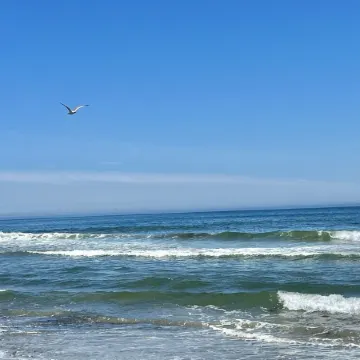 Oceanfront, private balcony, stunning panoramic views of the Atlantic