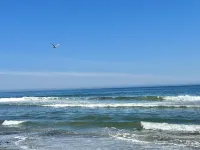 Oceanfront, private balcony, stunning panoramic views of the Atlantic