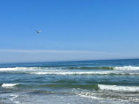 Oceanfront, private balcony, stunning panoramic views of the Atlantic