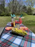Cottage 2/Roaring River/TRL/EurekaSprings/Wi-Fi