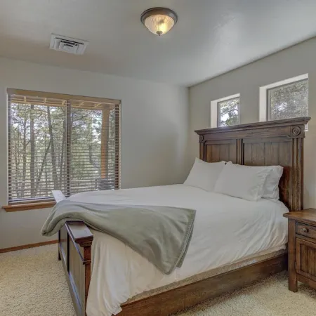 Bison Ridge 4 BR, 4BA Cabin with National Forest access and views!