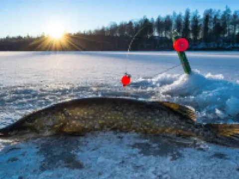 The Bluegill on Little Green Lake! Hotels in Green Lake County