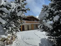 CHALET CAPRICES DES CIMES PYRENEES 2000