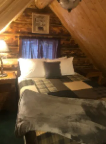 One of a kind, rustic cabin with rodeo and private pond on site~7 miles to YNP!