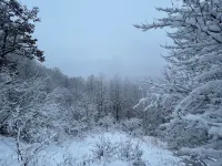 Valley Overlook, Peninsula, Ohio - Luxury Cabin adjoins National Park