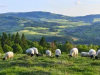 New barrier-free vacation apartment in the Rhön Hotels in Bastheim