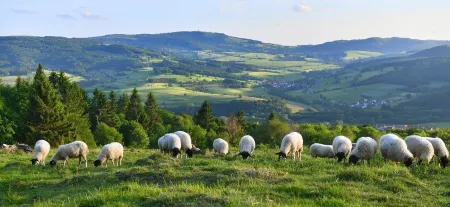 New barrier-free vacation apartment in the Rhön