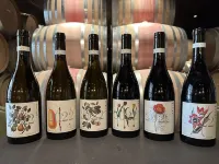 Brand new lodging, perched high atop the Dundee Hills @ White Walnut Estate!