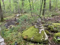 Peaceful Seasonal Wooded Nature Cottage close to everything