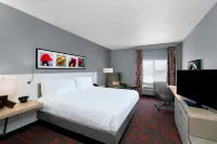 Hilton Garden Inn Louisville East - Pet friendly