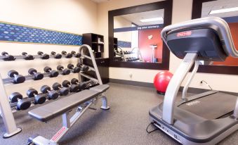 Hampton Inn St. Louis-I-44 Southwest (Near Six Flags)