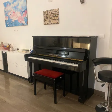 Large apartment on canal 2 steps from downtown Sète