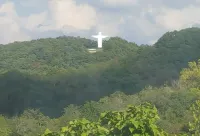 Night Owl 4S DOWNTOWNoptional paid parking upon request)