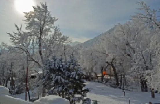 Heart of Manitou Springs. Award-winning. Luxurious. Rent all three apartments.