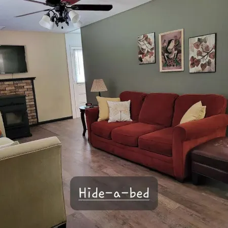 Family-sized in Historic Reeds Spring. 10 min to SDC,  Lake. 20 min to Branson