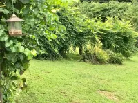 The Hiker’s Hut Tiny Home