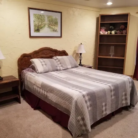 Altitude Adjustment cabin near Wolf Creek - pet friendly