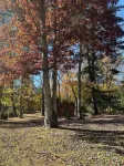 Pappy’s Camp on Blue Ridge Road