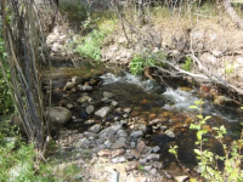 Garden Creek Retreat - Remodeled Home with Luxury Furnishings Hotels in Custer County