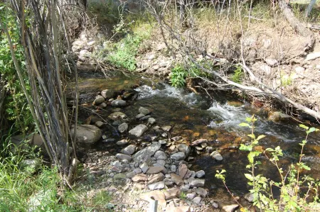 Garden Creek Retreat - Remodeled Home with Luxury Furnishings