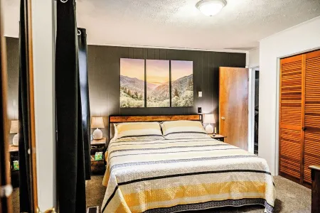 One-Level 2Bd/2BA Pet-Friendly Cabin in the Center of Maggie Valley!