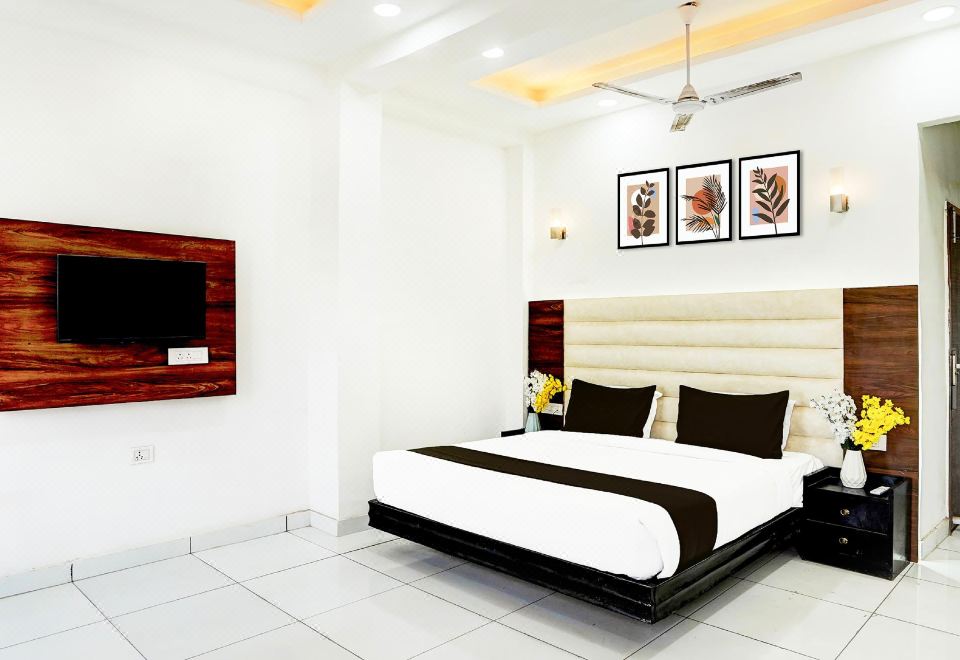 Super Collection O Haldoni Mod 사진