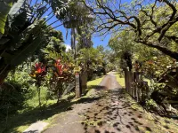 Discover the Natural Charm of Old Hawaii+Recharge Your Soul in Complete Privacy Hotel dekat Kee Beach