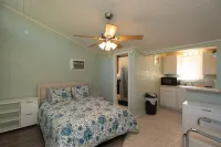 FREE Swim Hot Tub!! Nestled in the Trees on Cedar Creek Lake