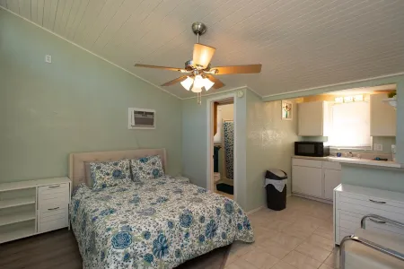 FREE Swim Hot Tub!! Nestled in the Trees on Cedar Creek Lake