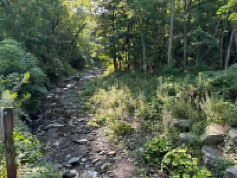 "Christine's Cabin" Great Place to Stay for Wine Trail Events