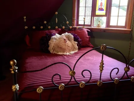 Secluded Romantic Dollhouse BnB in Downtown Historic District