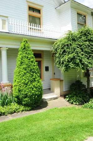 Apartment on the Park Отели в г. Зелиенопл