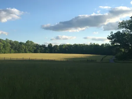 Luxury Historic 4 Br Home, In Downtown Fayetteville Near Parks/Trails, Sleeps 11