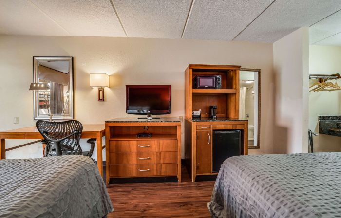 Econo Lodge Inn & Suites Griffin North